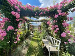 -喵屿·大理花园猫咖