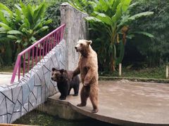 -贵州森林野生动物园