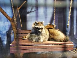 -酷嗒动物文化乐园(cutezoo西溪乐天城店)