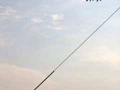 -上海山野camping·户外天幕烧烤·团建拓展营地