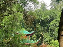 -岳麓山风景名胜区