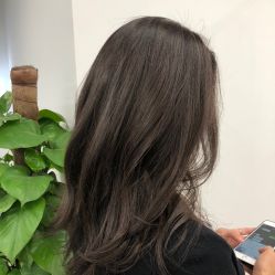 -Y-STUDIO原理