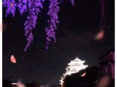 -名古屋城