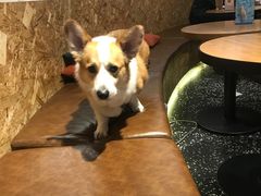 -Moka Bros 摩卡站(嘉华店)