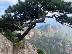 -黄山风景区