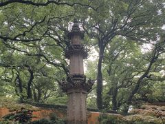 -普陀山风景名胜区-法雨禅寺