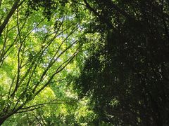 -泸州万象汇