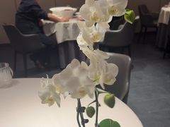 -蘇锦宴·淮扬菜烤鸭·小院(三元桥霄云路店)