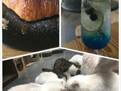 -瞄一喵猫咖(格力海岸店)