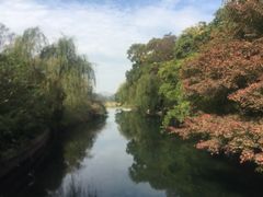 -西湖外事游船(花港观鱼码头)