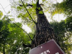 -成都杜甫草堂博物馆
