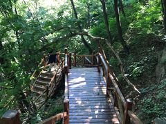 -大岭沟猕猴桃谷风景区