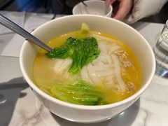-MR鹅外