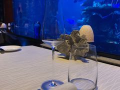 -迪拜帆船酒店海底餐厅