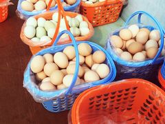 -大自然农场蔬菜草莓采摘园