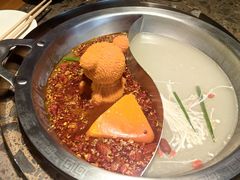 -重庆地瓜老火锅(广渠门店)