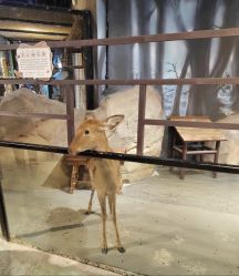 -酷嗒动物文化乐园(cutezoo西溪乐天城店)