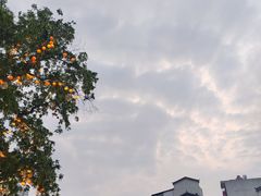 -五娭毑臭豆腐(黄兴南路店)