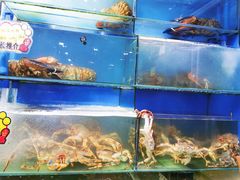 水产区-蚝专家(北滘店)