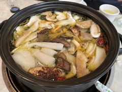 -蘑统田下·野生菌火锅