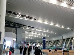 -合肥新桥国际机场-航站楼