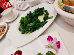 广东菜心-北海银滩皇冠假日酒店-德丰楼中餐厅