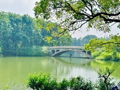 -中国科学院华南植物园