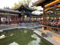 -迎泽公园