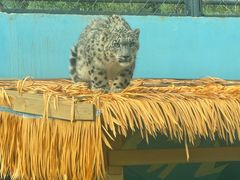 -青藏高原野生动物园