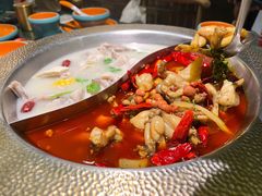 -麻田会 ·鲜活现烹·牛蛙火锅(珠江新城维家思广场店)
