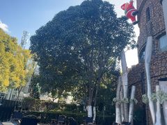 -J Create城市露营咖啡·简餐·宠物(上海动物园店)