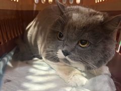 -久久宠物(河东万达店)