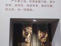 -北京中医药大学-中医药博物馆