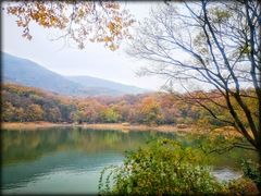 -紫霞湖公园