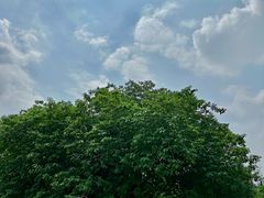 -汉长安城未央宫国家考古遗址公园