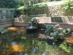 -宁波市保国寺古建筑博物馆