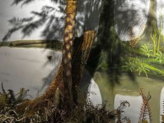 -陕西自然博物馆