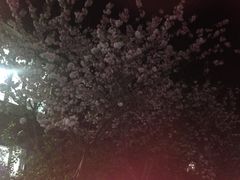 -上海财经大学(国定路校区)