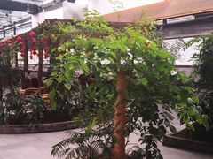 -森谷美食公园(杨行店)