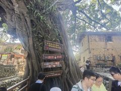 -福建土楼(南靖)景区