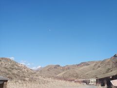 -新疆天山野生动物园