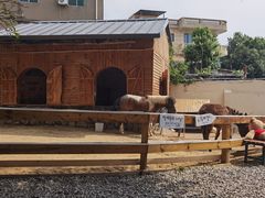 -HERRE·FARM 赫尔露营农场·团建聚会包场