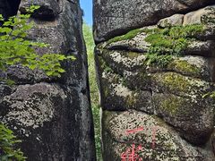 -汤旺河林海奇石景区