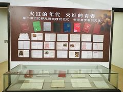 -大丰知青农场