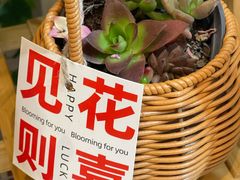 -盒马鲜生(丁香国际店)