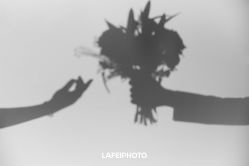 点击看大图 -帆拉斐婚纱摄影(春熙店)