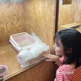 广州撸猫圣地好去处🐈 MOYOMA 摸幺喵来啦‼️