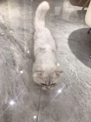 -隅日式美甲美睫專門店