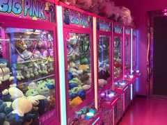 -BIG PINK大粉娃娃机主题馆(圆融星座店)