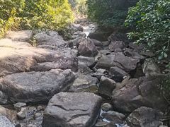 -广州白江湖森林公园